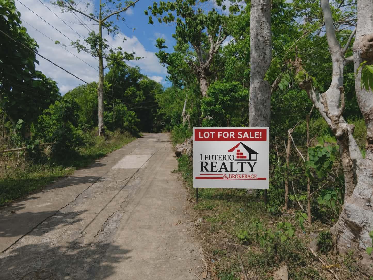 Lot For Sale! in Bicol — real estate listing image 2